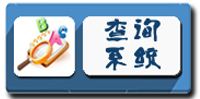 成绩查询