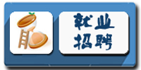 求职招聘